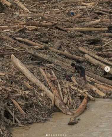  Loggokan Kayu Balak Daripada Aktiviti Pembalakan?